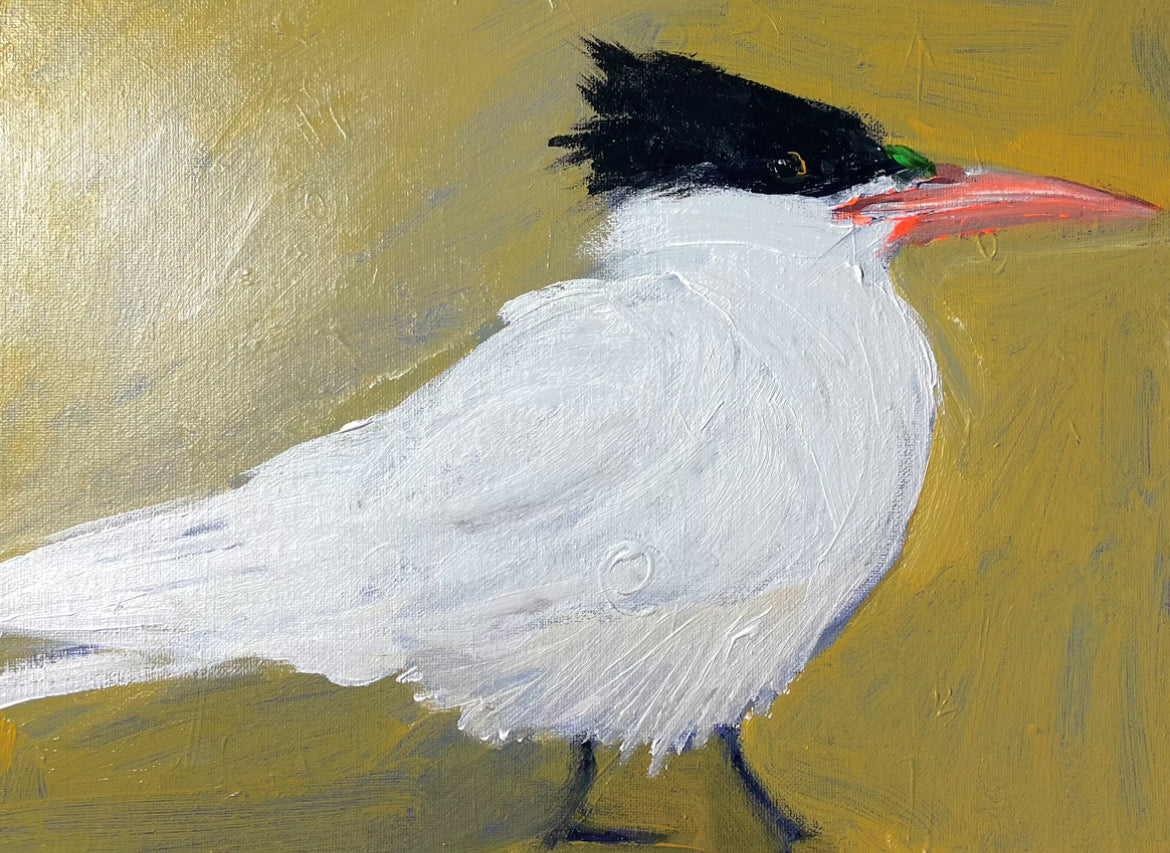 Tern